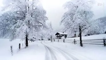 یخبندان ۴۵ درجه زیر صفر در یاکوتسک؛ سردترین شهر بزرگ جهان همچنان در جریان زندگی+فیلم
