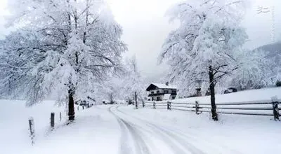 یخبندان ۴۵ درجه زیر صفر در یاکوتسک؛ سردترین شهر بزرگ جهان همچنان در جریان زندگی+فیلم
