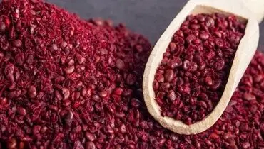 خاصیت فوق العاده سماق برای ورزشکاران