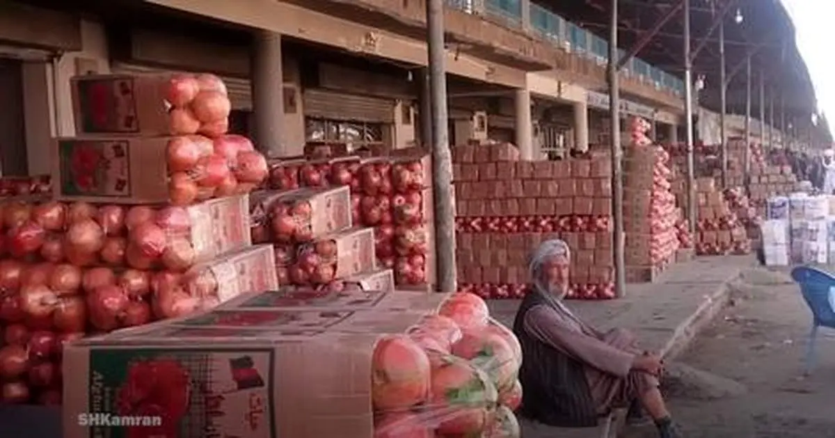  بزرگترین صادر کننده انار جهان + فیلم