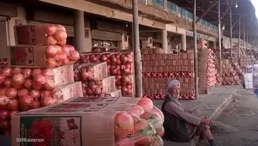  بزرگترین صادر کننده انار جهان + فیلم