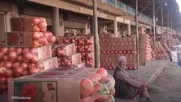  بزرگترین صادر کننده انار جهان + فیلم