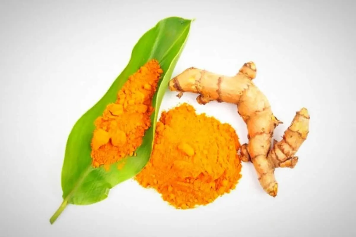 بهترین گیاهان و ادویه‌ها برای تقویت حافظه و سلامت مغز از راه طبیعی