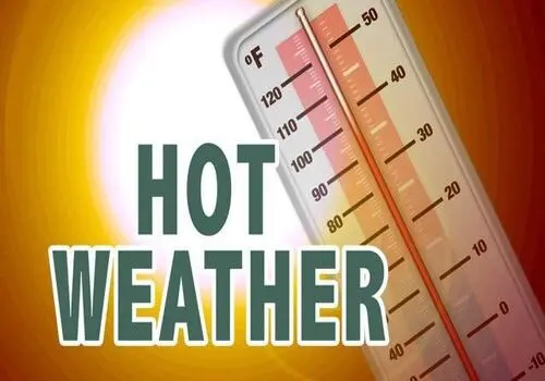 از مخوف ترین مکان در اقیانوس ها چه می دانید+ فیلم