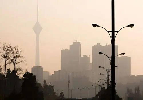 اراذل و اوباش مسعودیه تهران ادب شدند