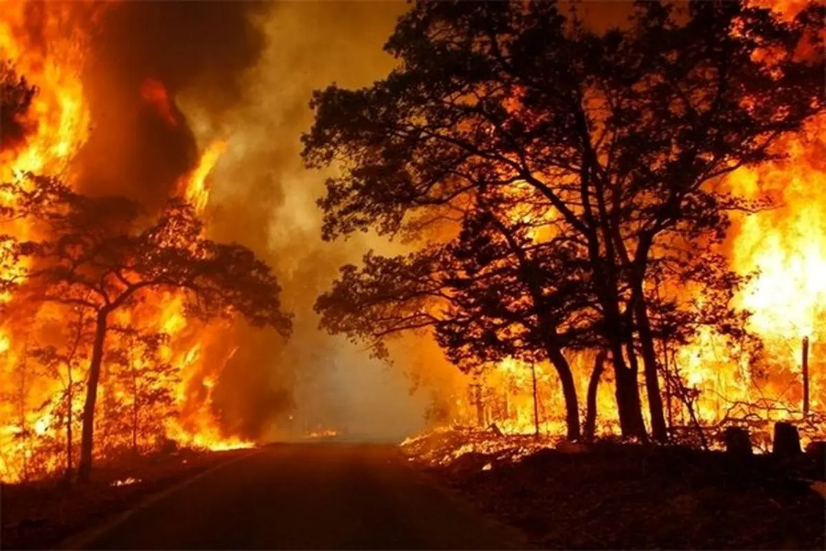 صحنه های آخرالزمانی از آتش سوزی در شیلی+ فیلم