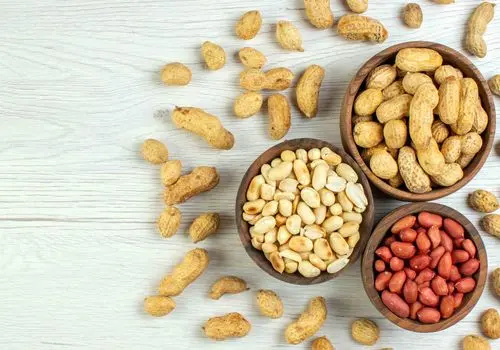 با خوردن این مغز، جوان بمانید