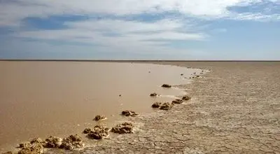 تصاویری دیدنی از پرآب شدن دریاچه هامون پس از ۱۲ سال + فیلم