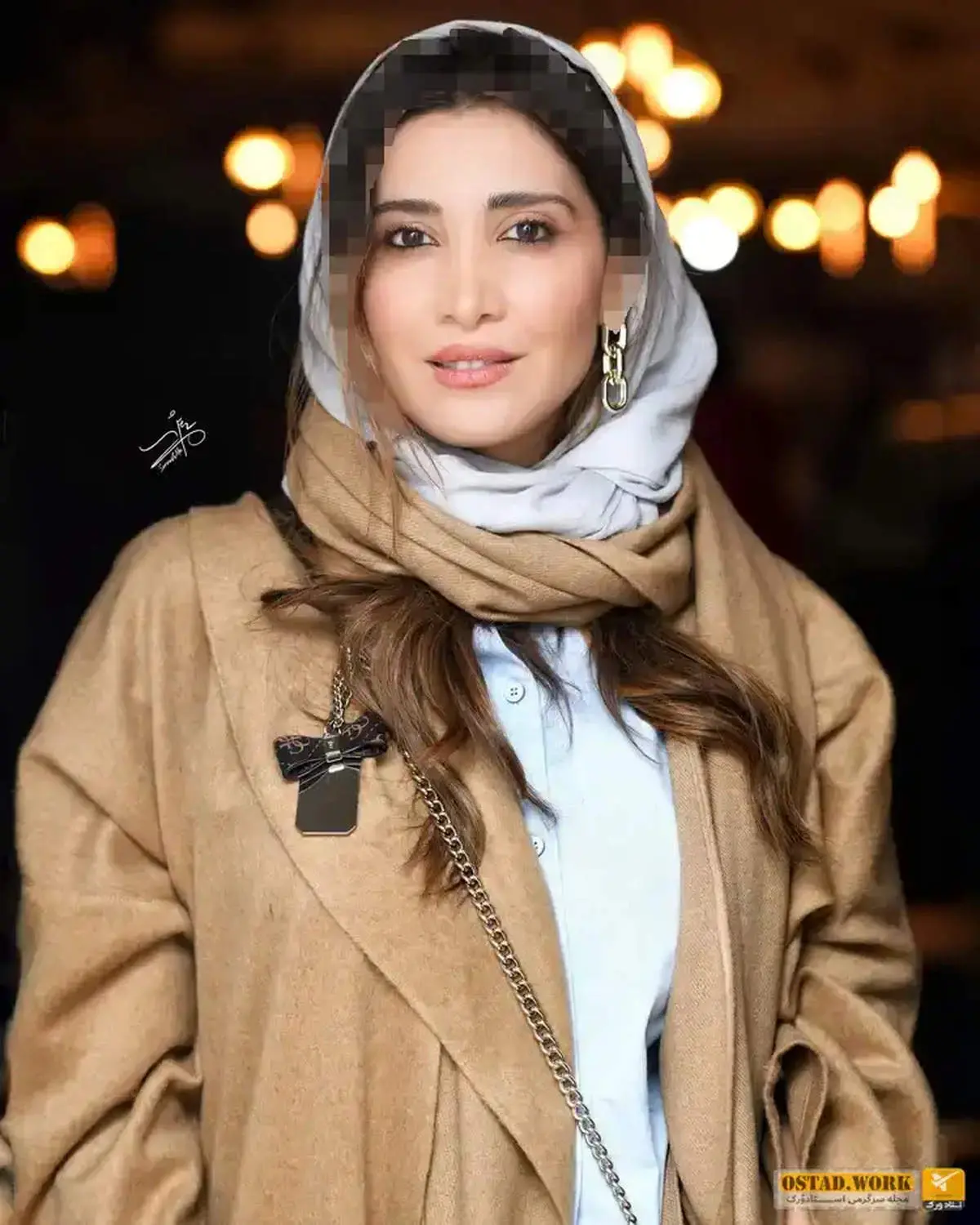 بیوگرافی و حواشی نیکی مظفری و همسرش+عکس