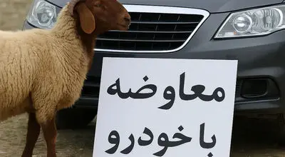 آگهی های عجیب معاوضه خودرو با حیوانات! + عکس