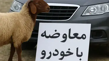 آگهی های عجیب معاوضه خودرو با حیوانات! + عکس
