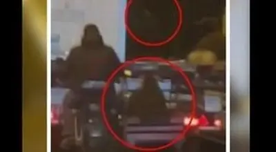 سرقت عجیب گوسفندان از کامیون در حال حرکت!/ویدیو 