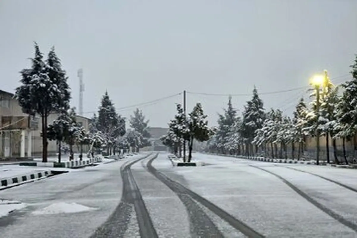 بارش برف سنگین مردم تبریز را غافلگیر کرد+ عکس