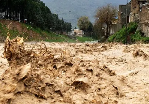 برف زمستانی بر پیکر تک درخت جاده فیروزکوه + فیلم