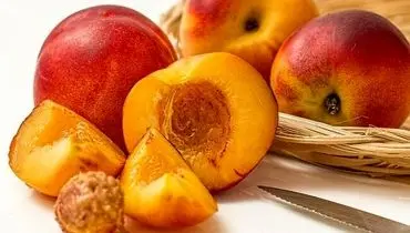طرز تهیه مربای شلیل