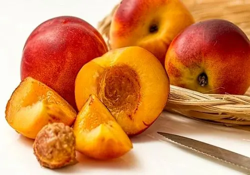 طرز تهیه مربای شلیل