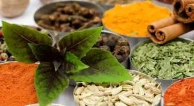 ۱۰ ادویه عالی برای لاغری سریع چربی شکم و پهلو 