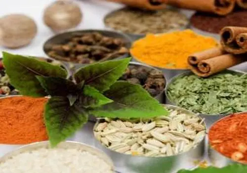 معرفی نوشیدنی‌های موثری  برای لاغری
