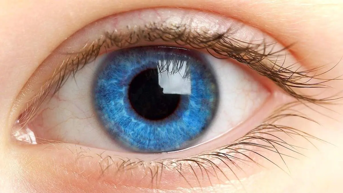 هشدار چشم‌پزشکان درباره ۹ علامت خطرناک برای سلامت چشم

