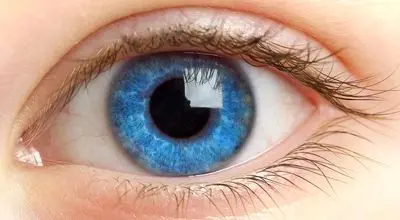 هشدار چشم‌پزشکان درباره ۹ علامت خطرناک برای سلامت چشم

