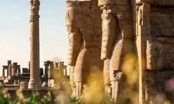 صدور سند مالکیت برای تخت‌جمشید
