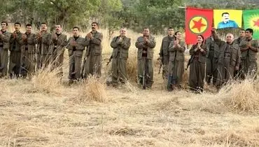 جشن و پایکوبی مردم دیاربکر ترکیه در پی انحلال پ ک ک + فیلم
