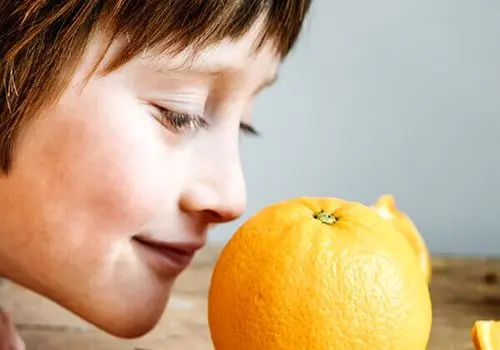 علت از دست دادن حس بویایی چیست؟
