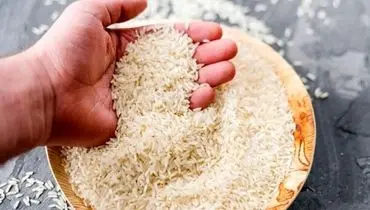 برنج‌های آلوده به پاکستان برگشت داده شدند