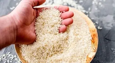 برنج‌های آلوده به پاکستان برگشت داده شدند
