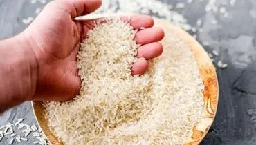 برنج‌های آلوده به پاکستان برگشت داده شدند