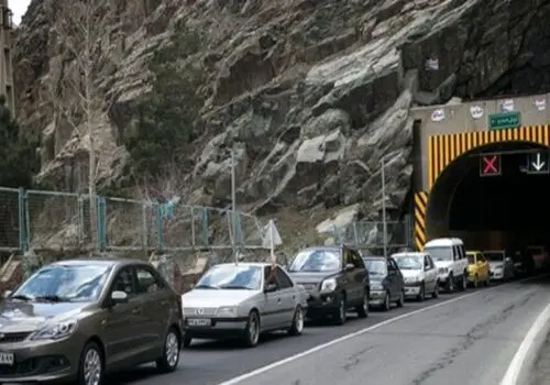 پلیکان‌ها به سواحل مازندران بازگشتند+ تصاویر
