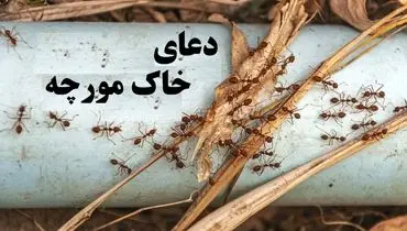 دعای خاک مورچه/ نماد برکت، روزی و جذب انرژی مثبت