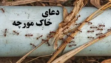 دعای خاک مورچه/ نماد برکت، روزی و جذب انرژی مثبت