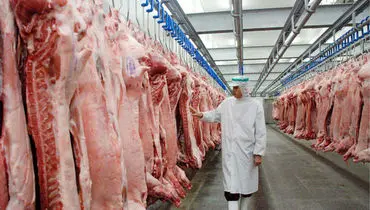 افشاگری حاجی دلیگانی درباره وجود «رانت» در واردات گوشت گرم 