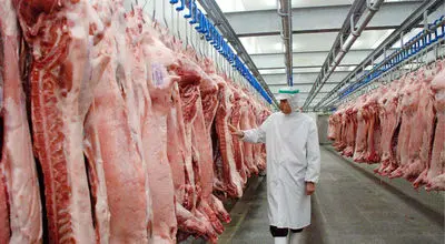 چرا افزایش قیمت گوشت قرمز، عجیب شد؟