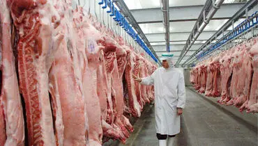 چرا افزایش قیمت گوشت قرمز، عجیب شد؟