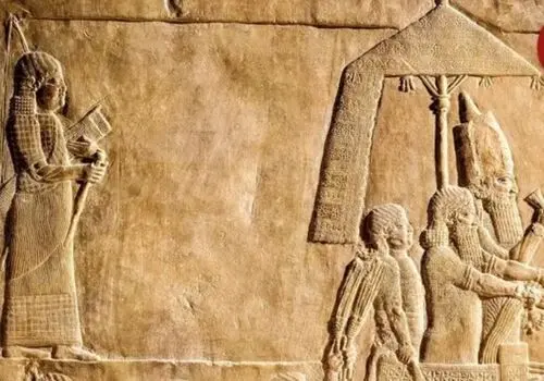 یکی از نخستین پرندگان جهان که ۱۵۰ میلیون سال پیش بر زمین پرواز می‌کرد