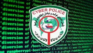 پلیس فتا هشدار داد: افزایش کلاهبرداری‌های اینترنتی در آستانه اربعین