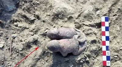  «قورباغه‌های به هم چسبیده» بعد از 3800 سال از زیر خاک بیرون آمدند 