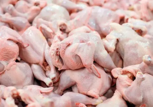 پیش‌بینی عجیب معاون وزیر درمورد قیمت مرغ و گوشت 