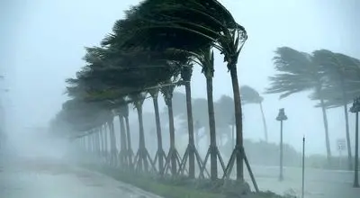 طوفان سهمگین در وایومینگ؛ کامیون‌ها زیر فشار باد واژگون شدند+فیلم