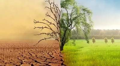 هشدار! بهاری خشک و تابستانی خشک‌تر در راه است