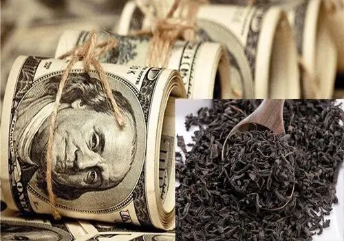 محصولات دبش به بازار برمیگردد!