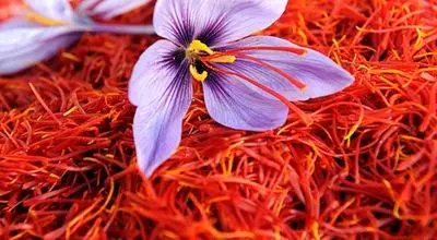 فرصت‌های از دست‌رفته در صادرات زعفران؛ ایران و سهم اندک از بازار جهانی