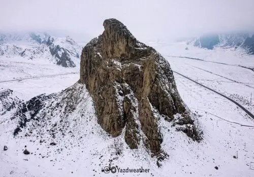 کوسه در ایران رکورد زد!