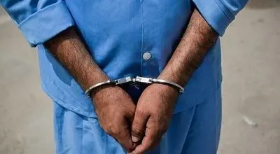 عاشق اینترنتی که سارق میلیاردی شد