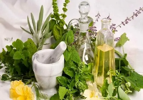 چند باور غلط درباره مصرف داروهای گیاهی
