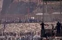 فاجعه در مرز اسپانیا؛ شمار مهاجران جان‌باخته به ۴۱ نفر رسید
