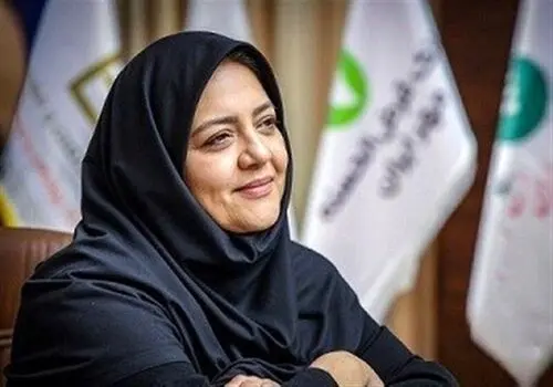 نوروزی:برای رفع ناترازی انرژی باید از تجربه کشورهای پیشرفته استفاده کنیم