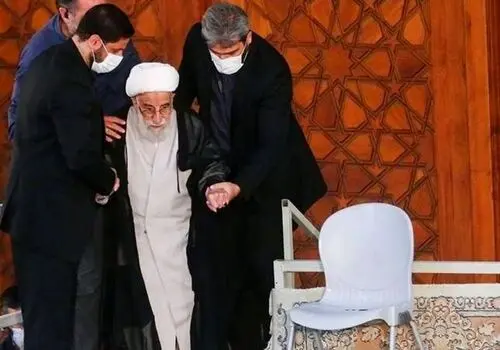 تولد اولین جگوار سیاه در ایران+ فیلم